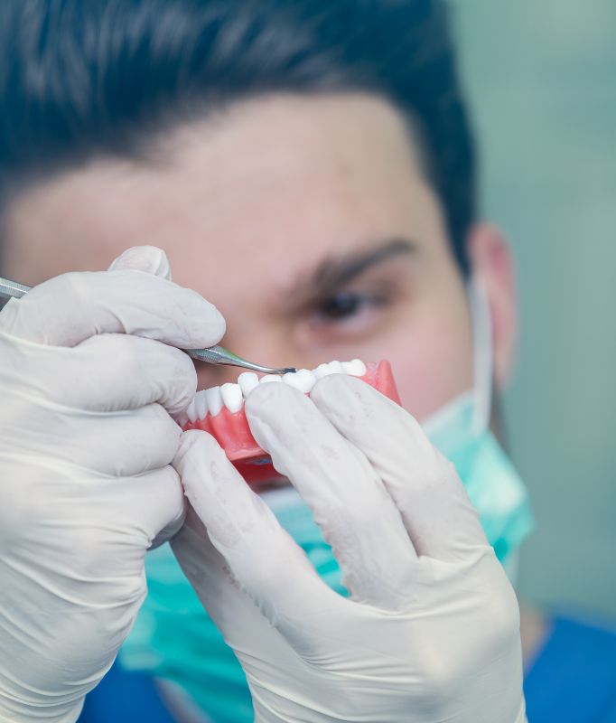 Dentist holding dental prosthetics